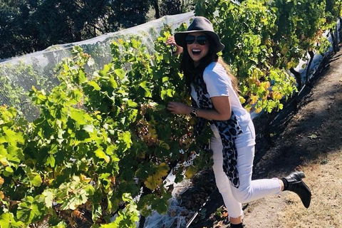 Valleys Of Vino Tour - Perth Resorts 3