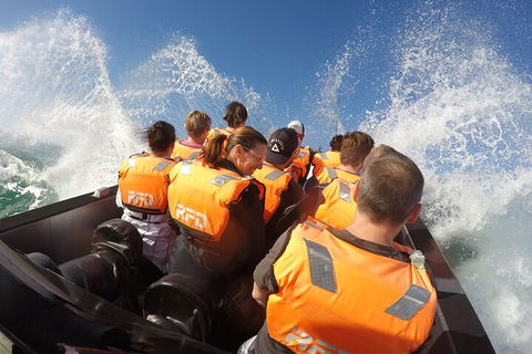 Noosa Thriller - 500hp Ocean Adventure Ride - Accommodation Perth 4