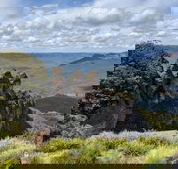 Blue Mountains Private Tour - wild kangaroos waterfalls and The Three Sisters - Accommodation Perth