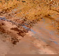 Scenic Flight Lizard Safari - Accommodation Perth
