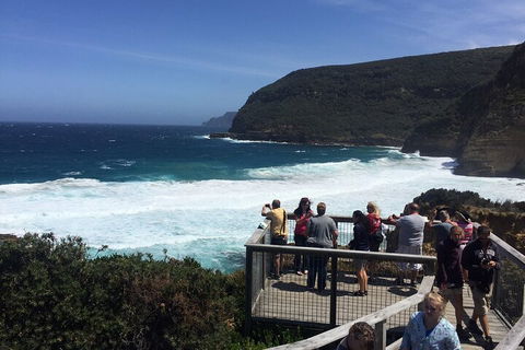 The Port Arthur MEGA Day Trip From Hobart - Accommodation Perth 2