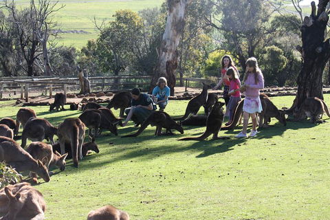 The Port Arthur MEGA Day Trip From Hobart - Accommodation Perth 5
