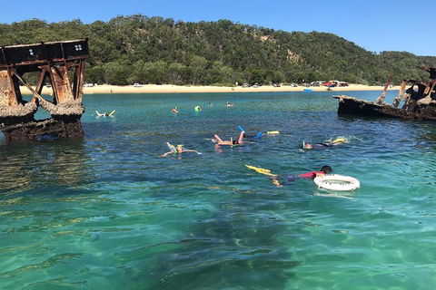 All Inclusive Dolphin And Tangalooma Wrecks Cruise - Perth Resorts 0