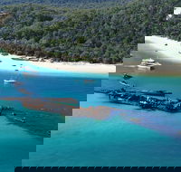 All Inclusive Tangalooma Wrecks Cruise Tour From Gold Coast - Accommodation Perth