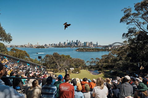Sydney Taronga Zoo's Australian Animals Tour - Perth Resorts 5