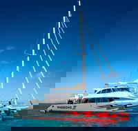Passions of Paradise Great Barrier Reef Snorkel and Dive Cruise from Cairns by Luxury Catamaran - Accommodation Perth