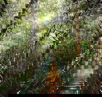 O'Reilly's  Lamington National Park from Gold Coast - Accommodation Perth