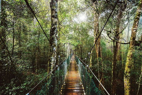 O'Reilly's & Lamington National Park From Gold Coast - Accommodation Perth 0