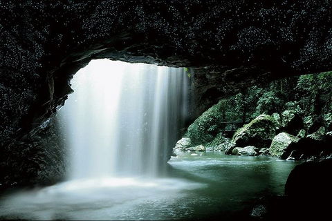 Natural Bridge Glow Worm Night Tour From Gold Coast - Accommodation Perth 0