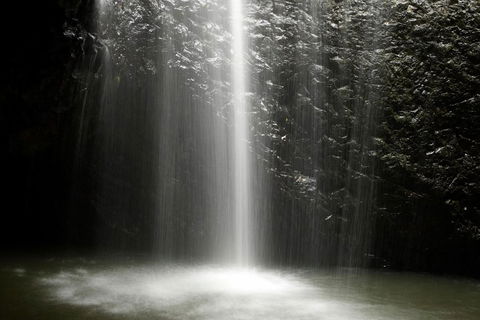 Natural Bridge Glow Worm Night Tour From Gold Coast - Accommodation Perth 2