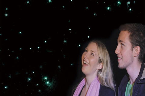 Natural Bridge Glow Worm Night Tour From Gold Coast - Accommodation Perth 3
