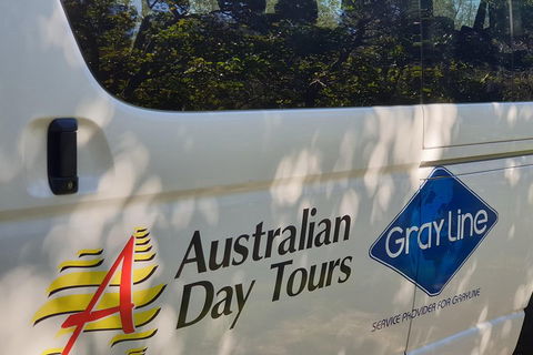Natural Bridge Glow Worm Night Tour From Gold Coast - Accommodation Perth 5