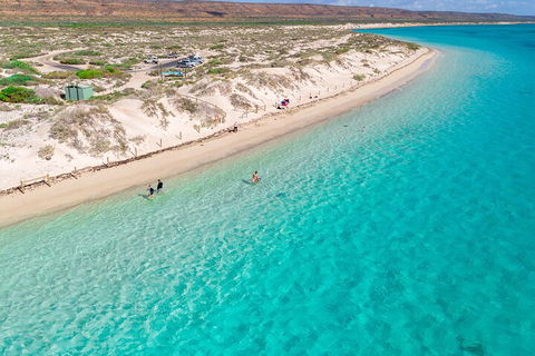 Ningaloo In A Day - Full Day Hike And Snorkel Tour With Lunch - Accommodation Perth 0