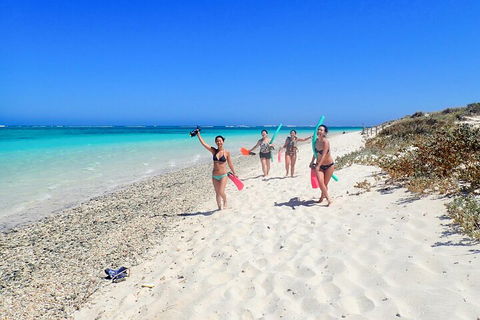 Ningaloo In A Day - Full Day Hike And Snorkel Tour With Lunch - Accommodation Perth 1