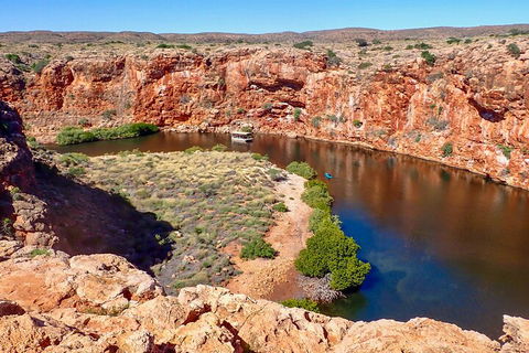 Ningaloo In A Day - Full Day Hike And Snorkel Tour With Lunch - Accommodation Perth 2