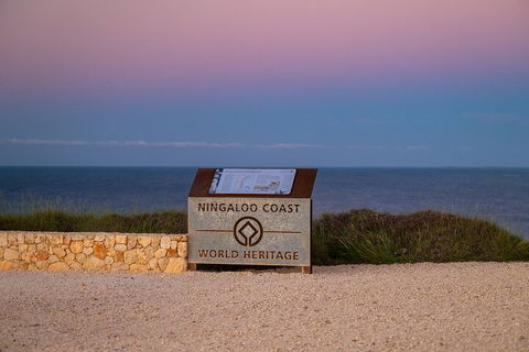 Ningaloo In A Day - Full Day Hike And Snorkel Tour With Lunch - Accommodation Perth 5