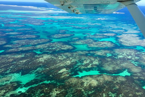 Shipwreck Special Full Day Tour Of The Abrolhos Islands - Accommodation Perth 1