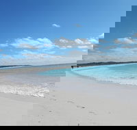 Shipwreck Special Nature Tour/Half Day Tour - Accommodation Perth