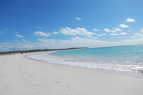 Shipwreck Special Nature Tour/Half Day Tour - Accommodation Perth 0