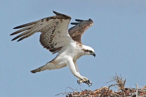 Shipwreck Special Nature Tour/Half Day Tour - Accommodation Perth 4