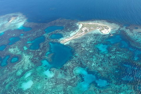 Shipwreck Special Nature Tour/Half Day Tour - Accommodation Perth 5