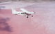 Pink Lake + Abrolhos Islands Nature Tour - thumb 0