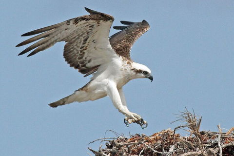Pink Lake + Abrolhos Islands Nature Tour - Accommodation Perth 3