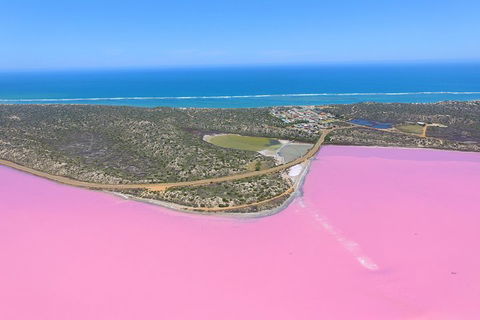 Pink Lake + Abrolhos Islands Nature Tour - Accommodation Perth 4