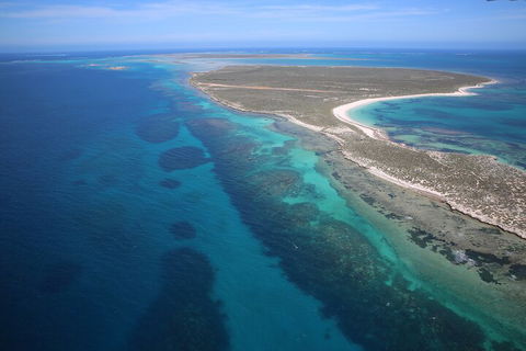 Pink Lake + Abrolhos Islands Scenic Flight - Accommodation Perth 0