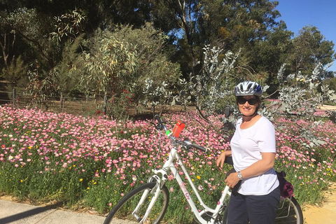 Perth Bike Tour - Beautiful Matilda Bay And Kings Park - Accommodation Perth 1