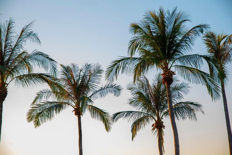 Darwin City Sightseeing Tour - Accommodation Perth 0