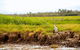 3-Day Kakadu National Park And Arnhem Land Explorer Tour From Darwin - thumb 5