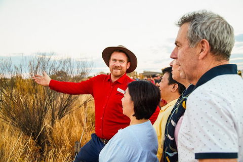Uluru (Ayers Rock) Sunset With Outback Barbecue Dinner And Star Tour - Accommodation Perth 3