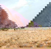 Uluru Sunrise and Guided Base Walk - Accommodation Perth
