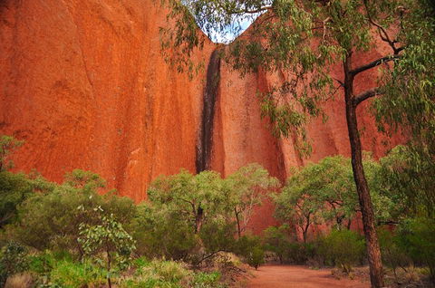 Uluru Sunrise And Guided Base Walk - Accommodation Perth 3