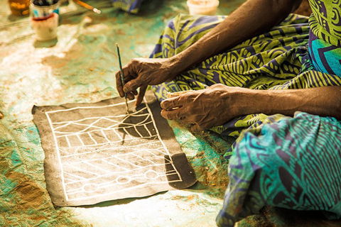 Tiwi Islands Cultural Experience From Darwin Including Ferry - Accommodation Perth 1