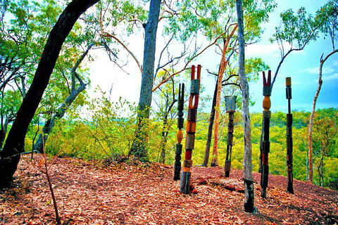 Tiwi Islands Cultural Experience From Darwin Including Ferry - Accommodation Perth 3