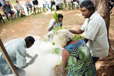 Tiwi Islands Cultural Experience From Darwin Including Ferry - Accommodation Perth 4