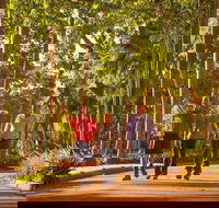 Darwin City Sights and Jumping Crocodile Cruise - Accommodation Perth