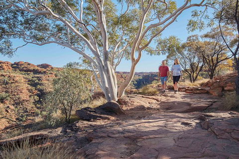 3-Day Tour From Uluru (Ayers Rock) To Alice Springs Via Kings Canyon - Accommodation Perth 1