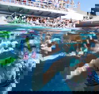 Great Barrier Reef Day Cruise from Cairns Including Snorkeling and Marine Biologist Presentation - Accommodation Perth