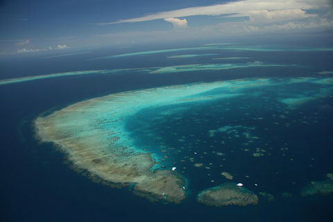 Great Barrier Reef Day Cruise From Cairns Including Snorkeling And Marine Biologist Presentation - Accommodation Perth 1