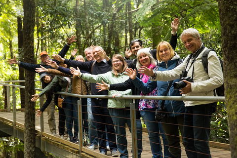 All Inclusive Blue Mountains Small-Group Day Trip From Sydney - Accommodation Perth 5