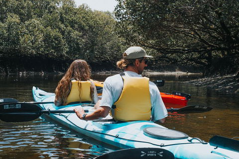 Kayak Tour In Adelaide Dolphin Sanctuary - Accommodation Perth 2