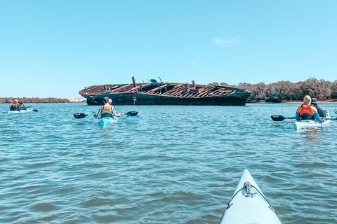 Kayak Tour In Adelaide Dolphin Sanctuary - Accommodation Perth 3