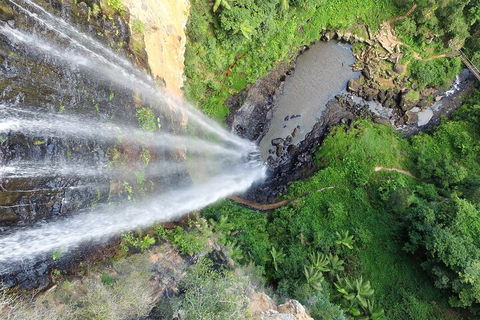 Natural Bridge & Springbrook Waterfalls Tour + Hot Air Balloon With Breakfast - Accommodation Perth 1