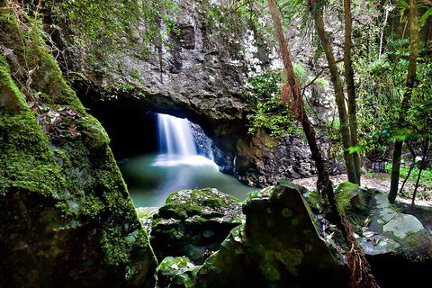 Natural Bridge & Springbrook Waterfalls Tour + Hot Air Balloon With Breakfast - Accommodation Perth 4