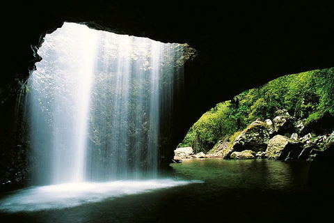Natural Bridge & Springbrook Waterfalls Tour - Accommodation Perth 0