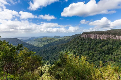 Natural Bridge & Springbrook Waterfalls Tour - Accommodation Perth 1