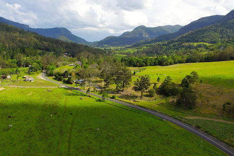 Natural Bridge & Springbrook Waterfalls Tour - Accommodation Perth 2